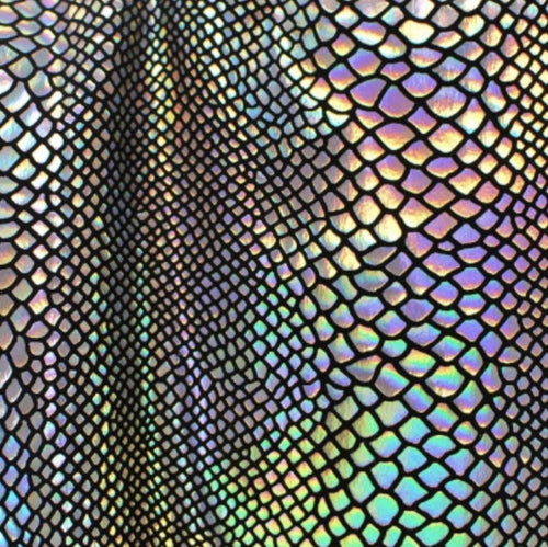 Silver Lazer Snake/Black